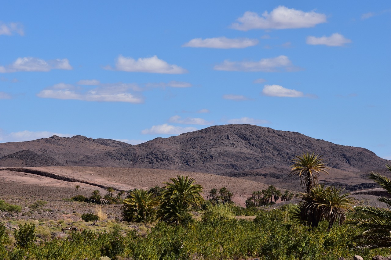 Undiscovered Treasures of Mongolia’s Gobi Desert